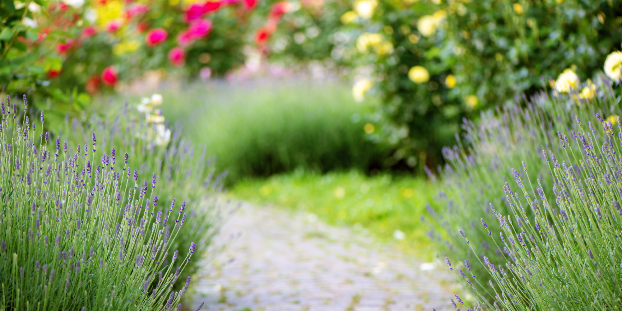 Banner Pathway