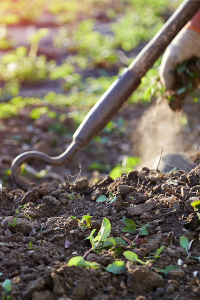 #3 Gardening